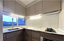 The Meyerise (D15), Condominium #475405481